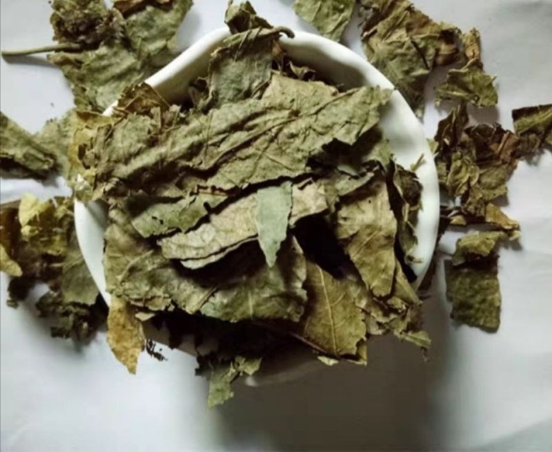 黄皮，黄皮树叶产地直供道地药材，药典标准支持线上交易保障