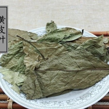 黄皮,黄皮树叶产地直供道地药材,药典标准支持线上交易保障