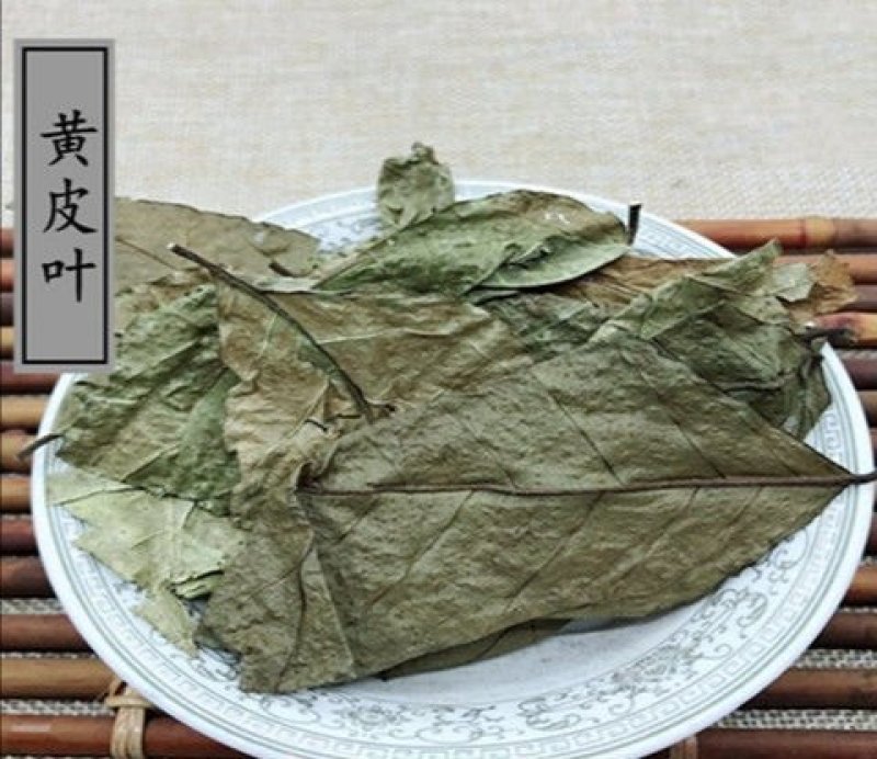 黄皮，黄皮树叶产地直供道地药材，药典标准支持线上交易保障