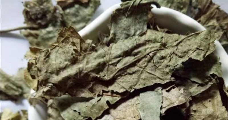黄皮，黄皮树叶产地直供道地药材，药典标准支持线上交易保障