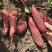 西瓜红六鳌蜜薯沙地种植地瓜红薯山芋