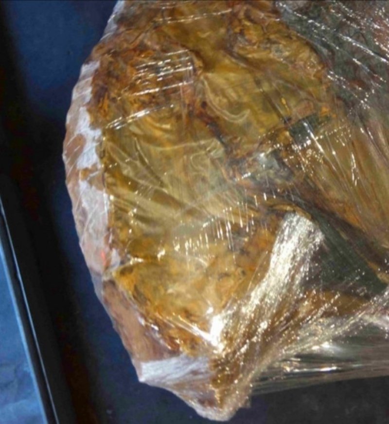 羊胎，正品内蒙羊胎，产地直供，道地药材，药典标准