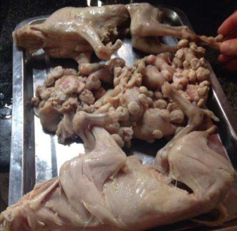 羊胎，正品内蒙羊胎，产地直供，道地药材，药典标准