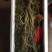 【有好货】红参东北长白山十八年林下半野生50克可切片
