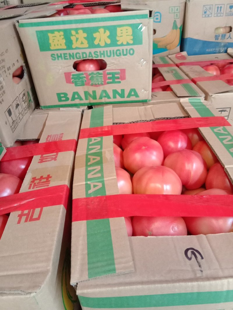 精品西红柿
