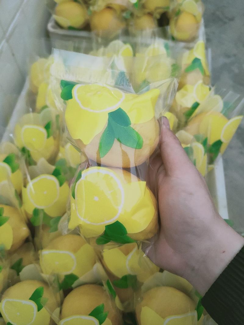 安岳黄柠檬精品双胞胎5斤装批发包邮，支持一件代发