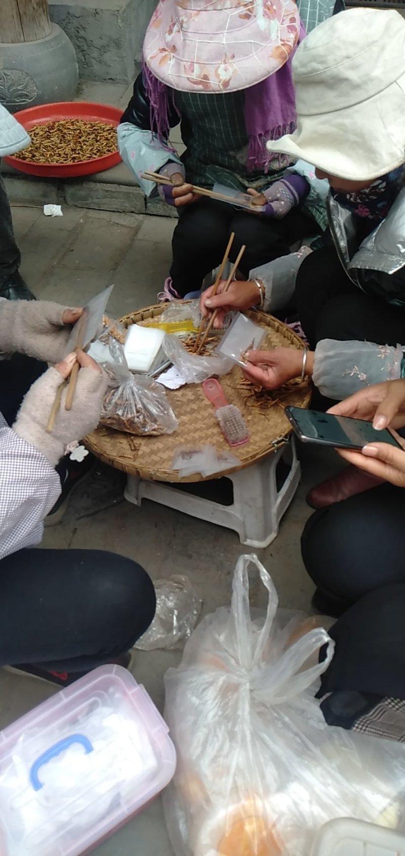 冬虫夏草…健康加油站