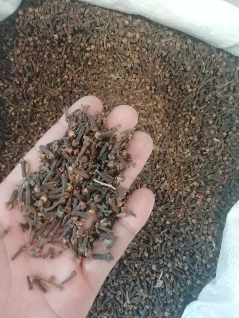 丁香一公斤起批不包邮，量大电仪