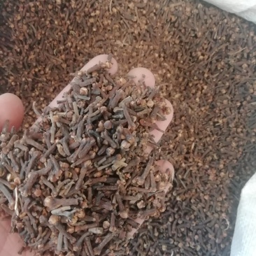 丁香一公斤起批不包邮，量大电仪