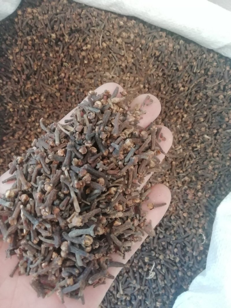 丁香一公斤起批不包邮，量大电仪
