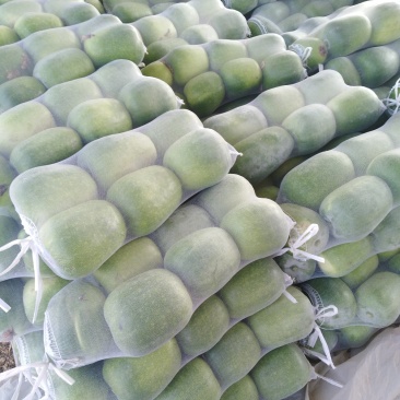 一串玲冬瓜