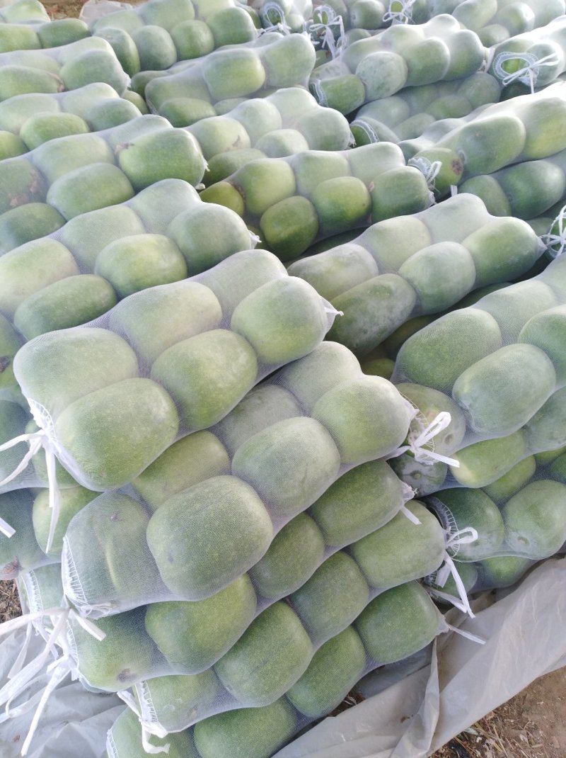 一串玲冬瓜
