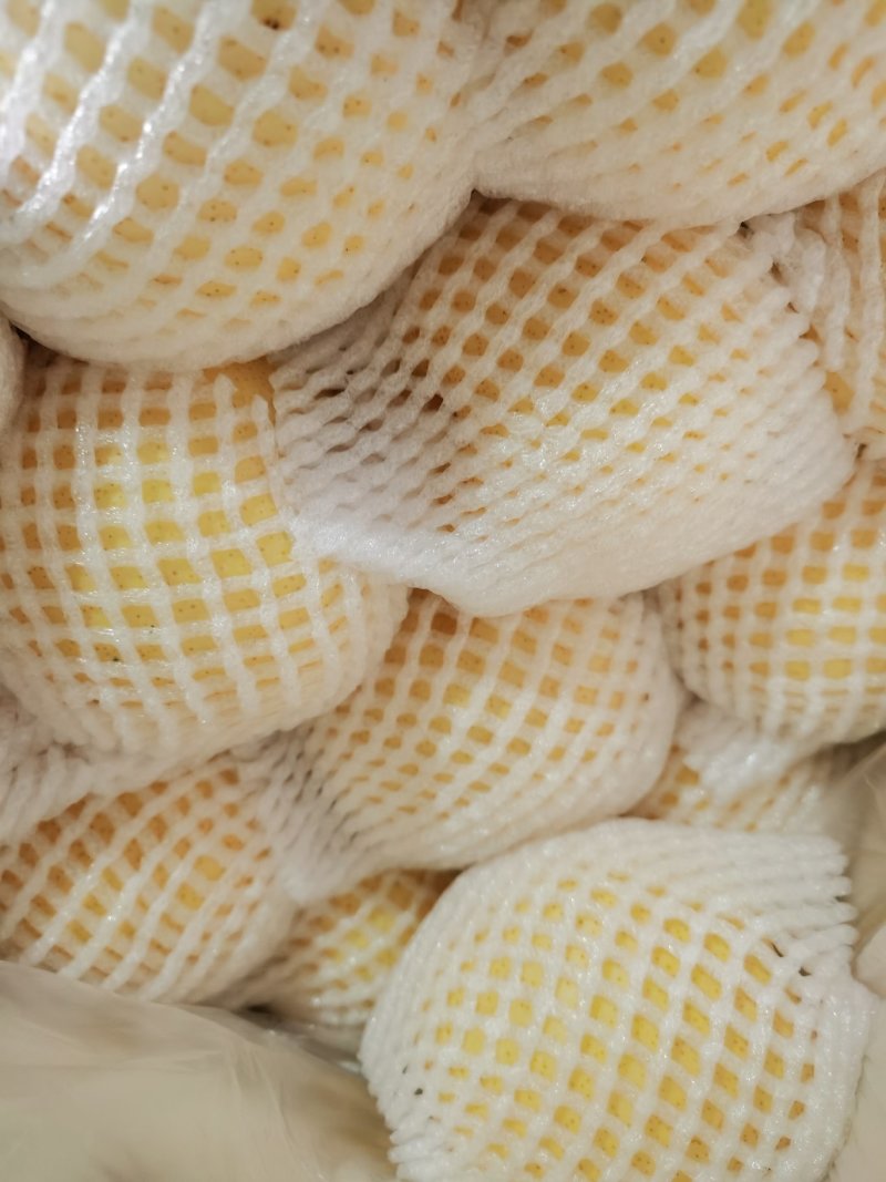 梨
