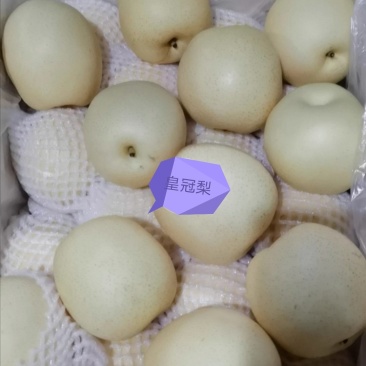 梨
