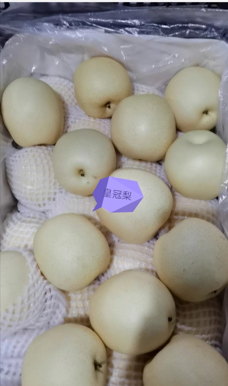 梨