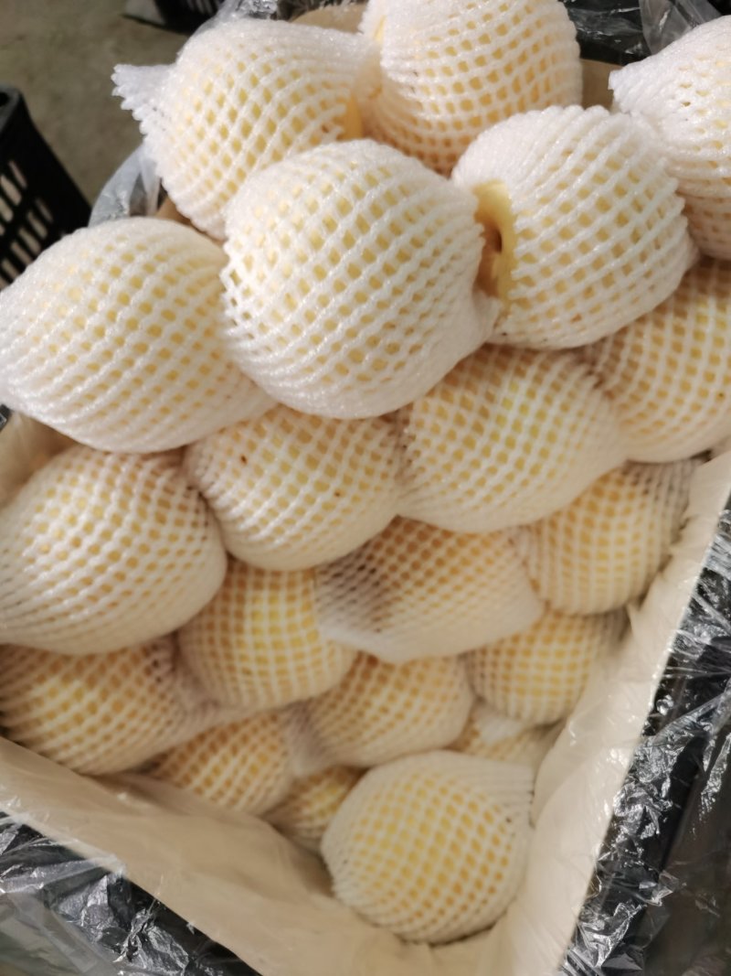 梨