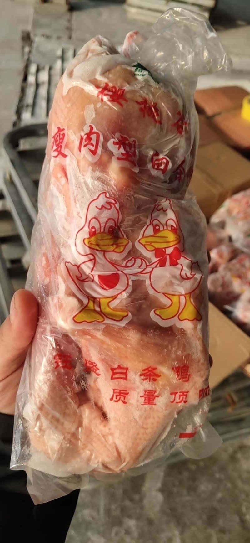 白条鸭