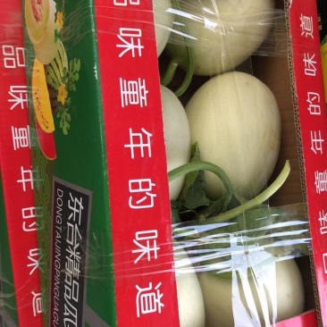 玉菇(农友)东台甜瓜产地直销，万亩基地