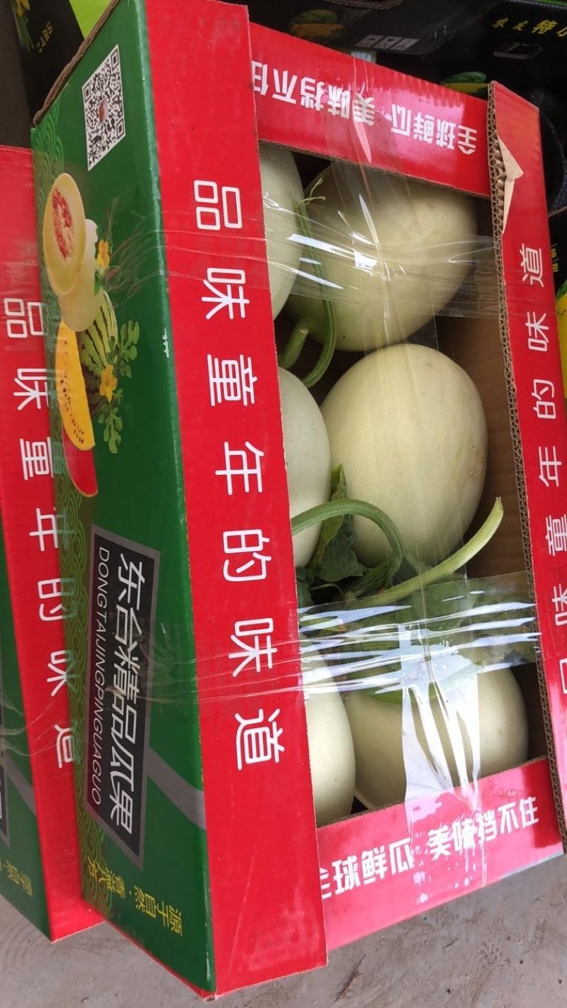 玉菇(农友)东台甜瓜产地直销，万亩基地