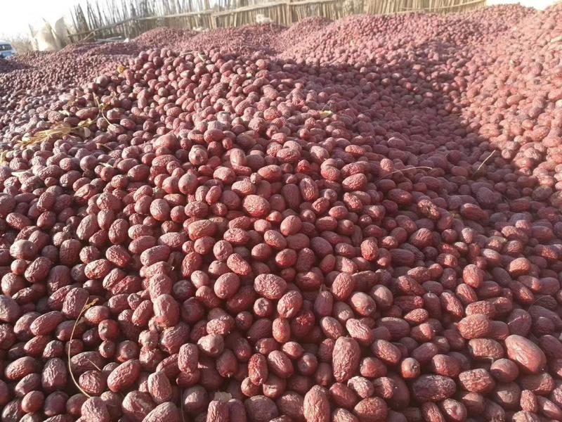 新疆原生态未清洗的吊干灰枣，干度8成，筛选后的通货！