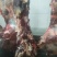 纯干牛肉赘，块整，牛后腿。。。。。。。。。
