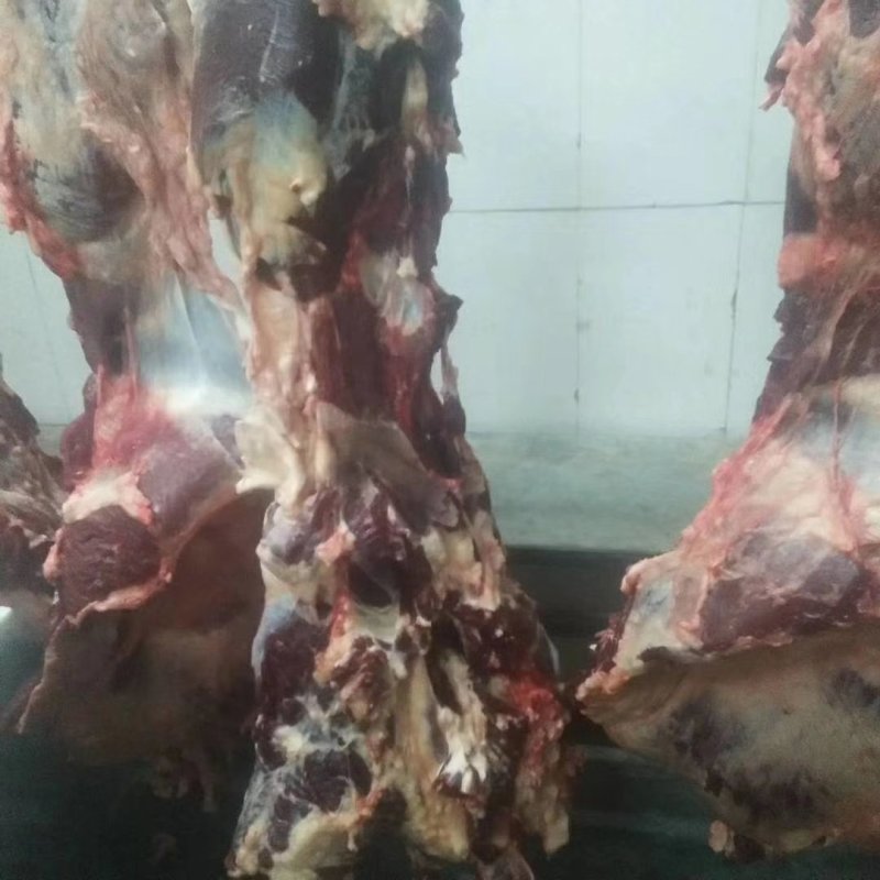 纯干牛肉赘，块整，牛后腿。。。。。。。。。