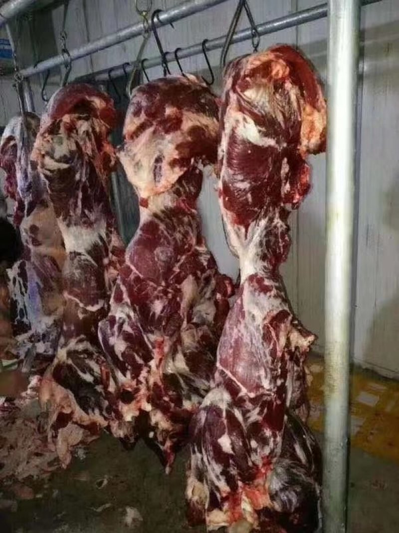 纯干牛肉赘，块整，牛后腿。。。。。。。。。