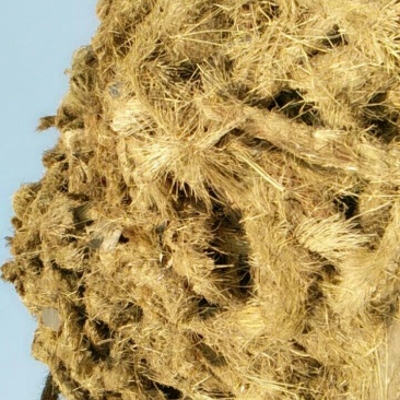 稻草