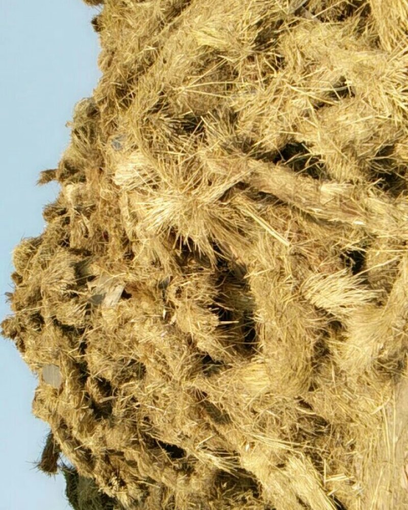稻草