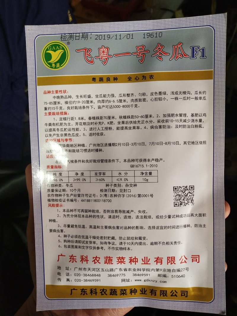 广东科农飞粤一号冬瓜