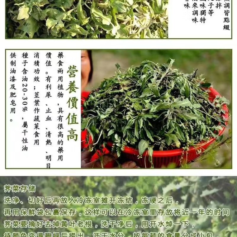 干荠菜～鲜香甜润！包馅料用吃后忘不了！