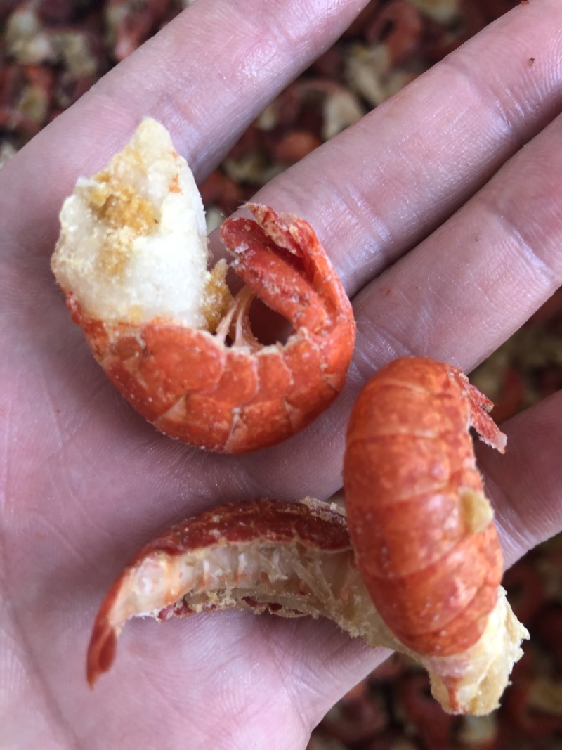 龙虾尾