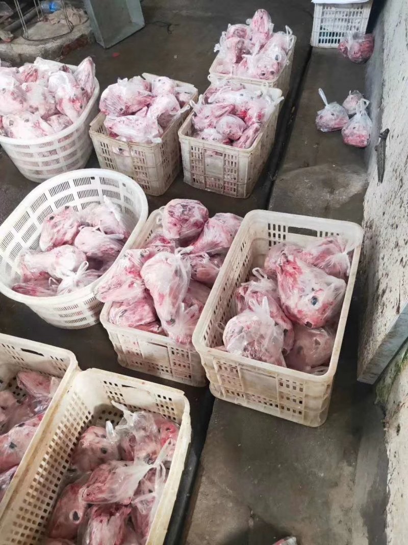 带皮羊肉，羊蝎子，去皮羊头，，，，，，。。。