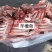 带皮羊肉，羊蝎子，去皮羊头，，，，，，。。。