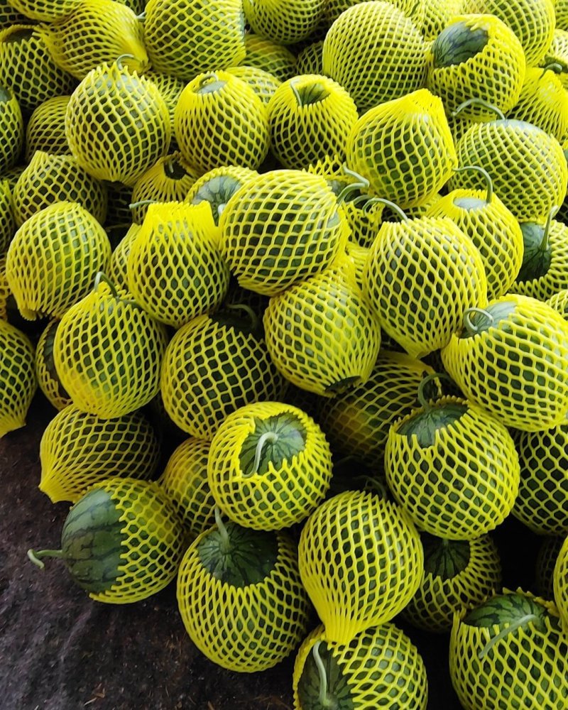 特小凤