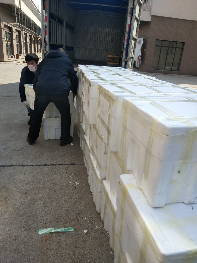 盘锦优质蟹苗各种规格质量好活力好产地直销