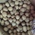 核桃10元一斤，新疆核桃，皮薄