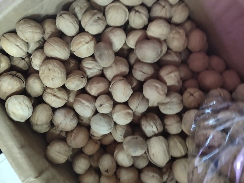 核桃10元一斤，新疆核桃，皮薄