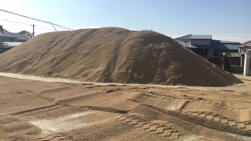 【一件代发】包邮稻花香大米10斤真空包邮厂家自销品质好米