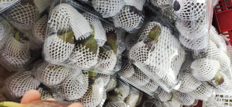 无花果新鲜一件代发。常年有货泡沫箱加冰袋发货