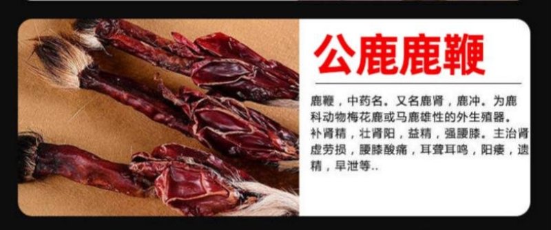 【男性鹿鞭膏升级版】男性滋补高纯度养精中药材鹿鞭膏