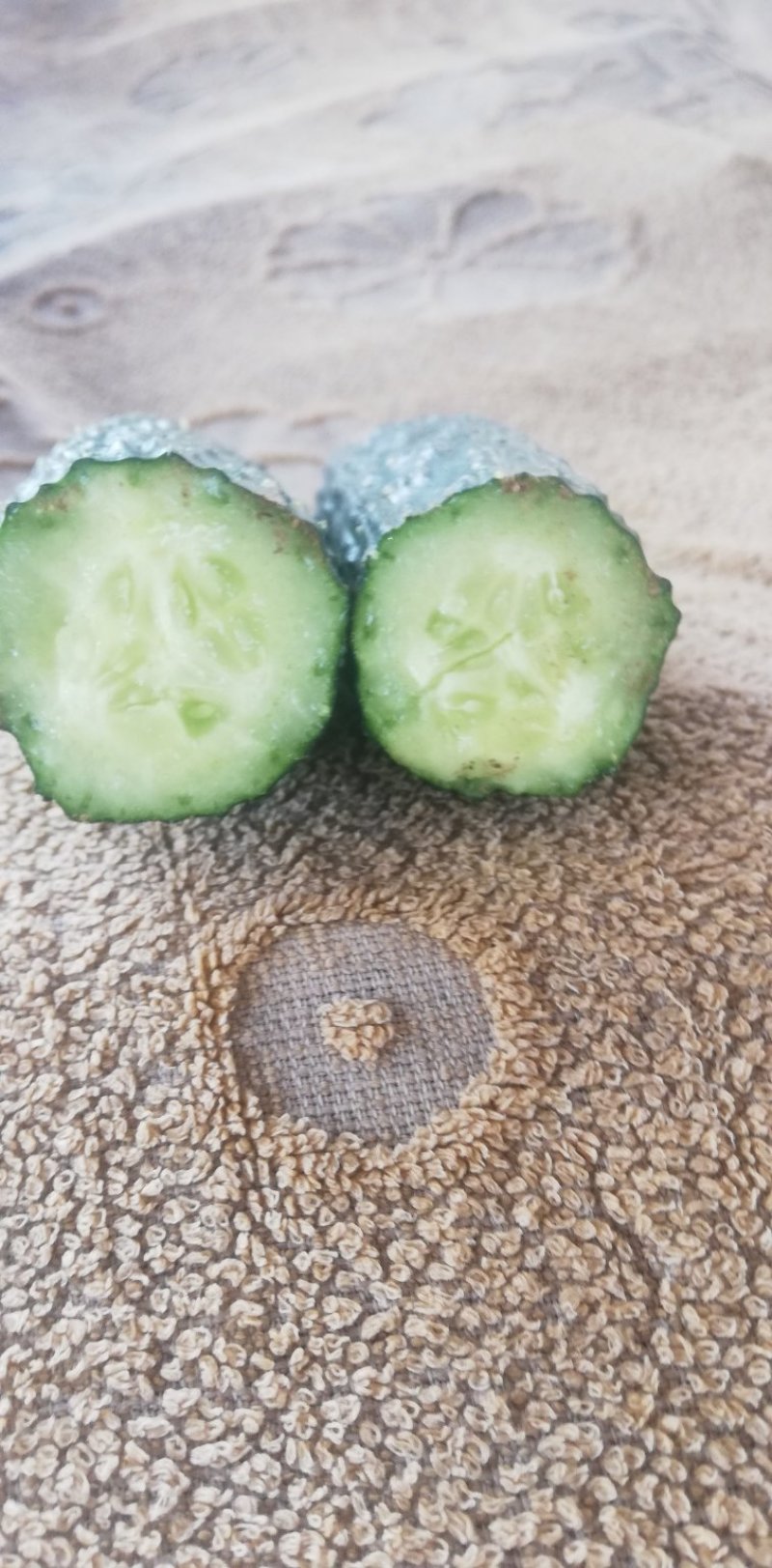 【黑油亮】精密刺黄瓜，干花带刺基地直发商超专供