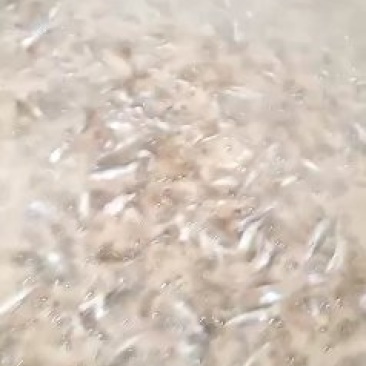 鱼干有货