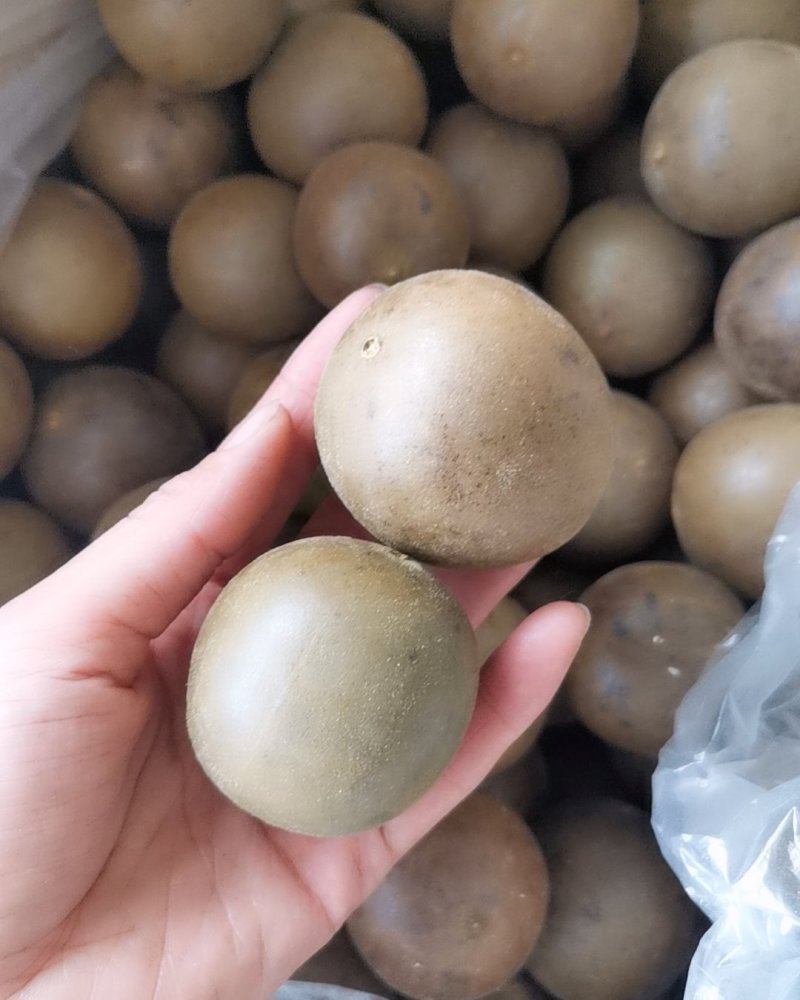 罗汉果大量批发零售正品保证质量无理由退货退款