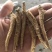 花旗参拿货1块钱一支，比药店的还要好