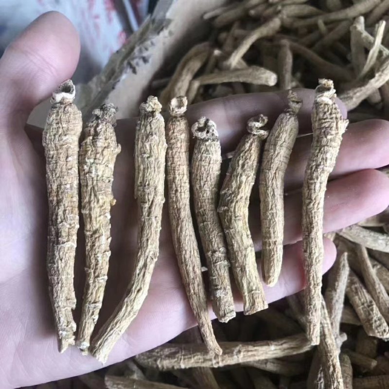 花旗参拿货1块钱一支，比药店的还要好