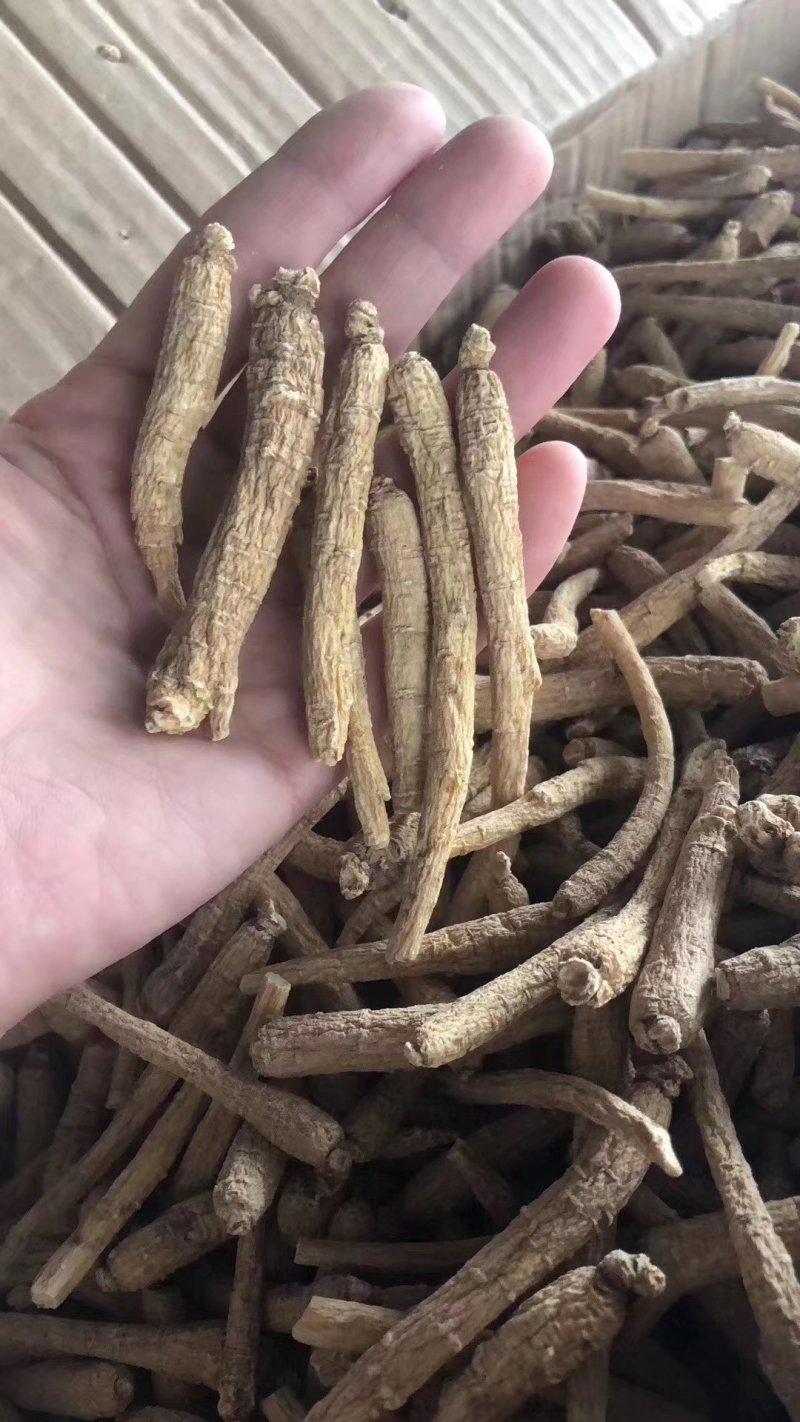 花旗参拿货1块钱一支，比药店的还要好