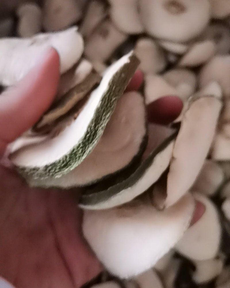 减肥果（瘦瘦果）诚信第一价格便宜