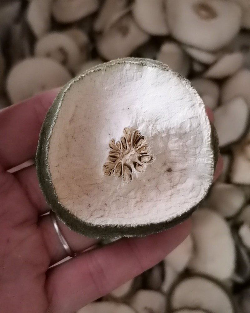 减肥果（瘦瘦果）诚信第一价格便宜