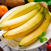 高山自然甜香蕉，当季新鲜水果，10斤一件、多仓发货！